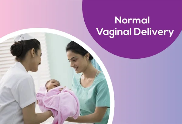 Normal Vaginal Delivery