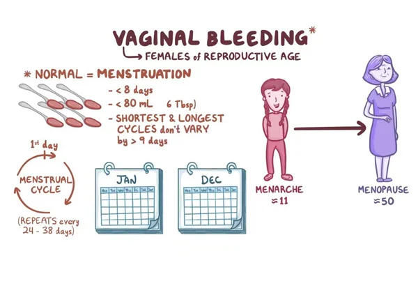 Treatment for Abnormal Vaginal Bleeding Menopause